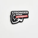 model_STRONGER